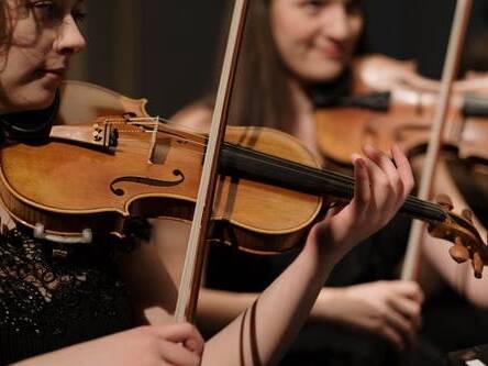 manual override of alt text